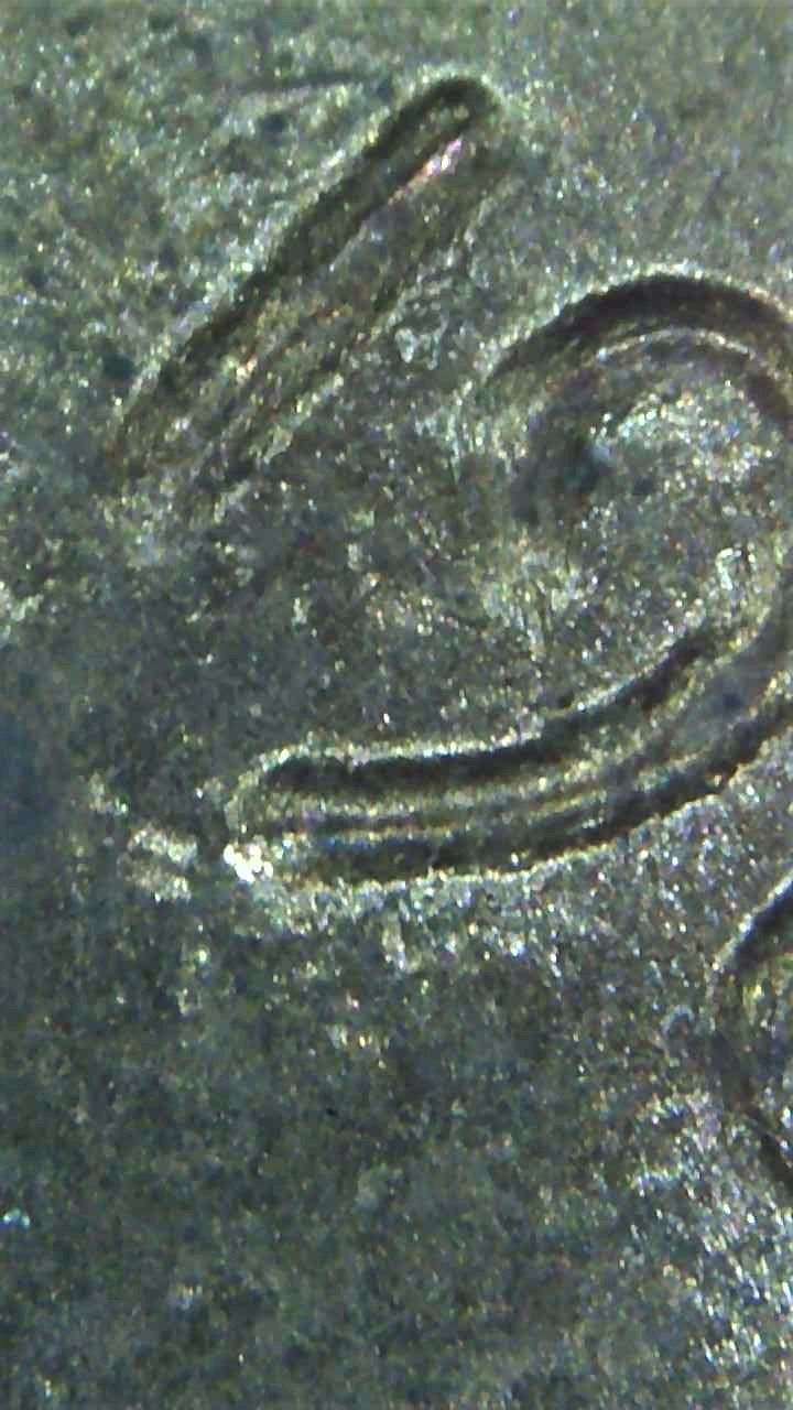 1982-Penny....ddo-Or-More-MD